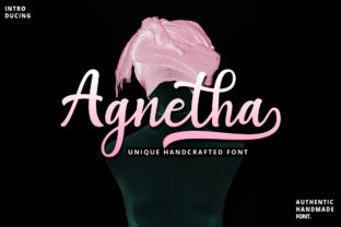 Agnetha Font Review: Elevating Web Design with Classic Script