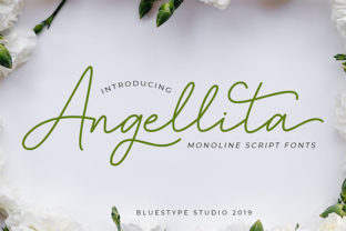 Angellita Font Review: A Dynamic Script for Campaigns