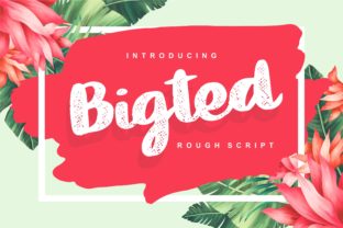 Bigted: The Cheerful Script Font for Summer Campaigns