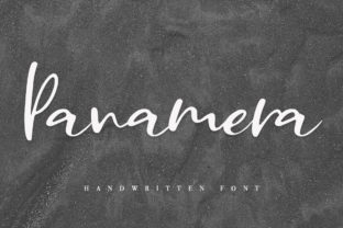 Panamera: A Charming Script Typeface for Modern Web Design