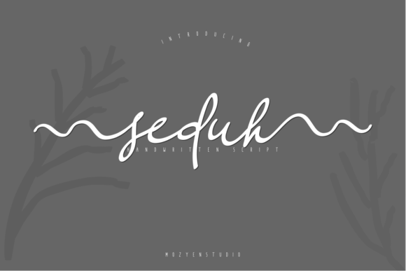 Seduh: The Script Font That Stops the Scroll
