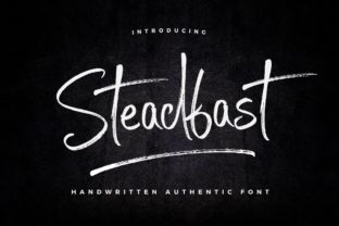 Steadfast Font Review: A Script Typeface for Bold Campaigns
