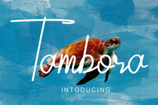 Tambora: The Script Font That Elevates Campaign Visuals